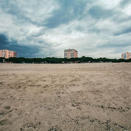 Studio Les Pieds Dans L'Eau Argeles Sur Mer Eksteriør bilde