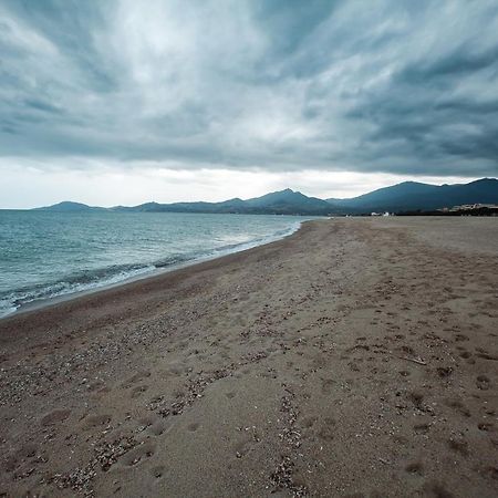 Studio Les Pieds Dans L'Eau Argeles Sur Mer Eksteriør bilde