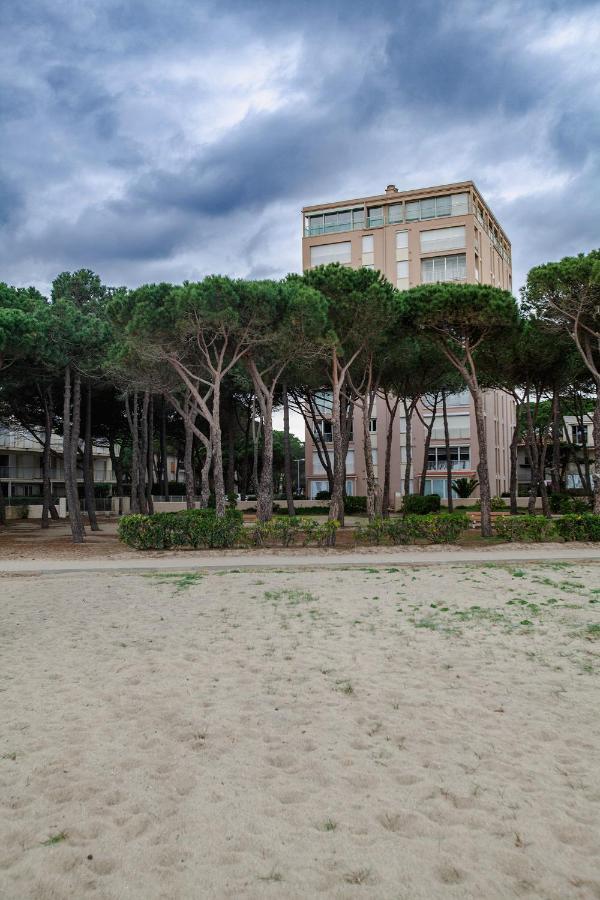 Studio Les Pieds Dans L'Eau Argeles Sur Mer Eksteriør bilde