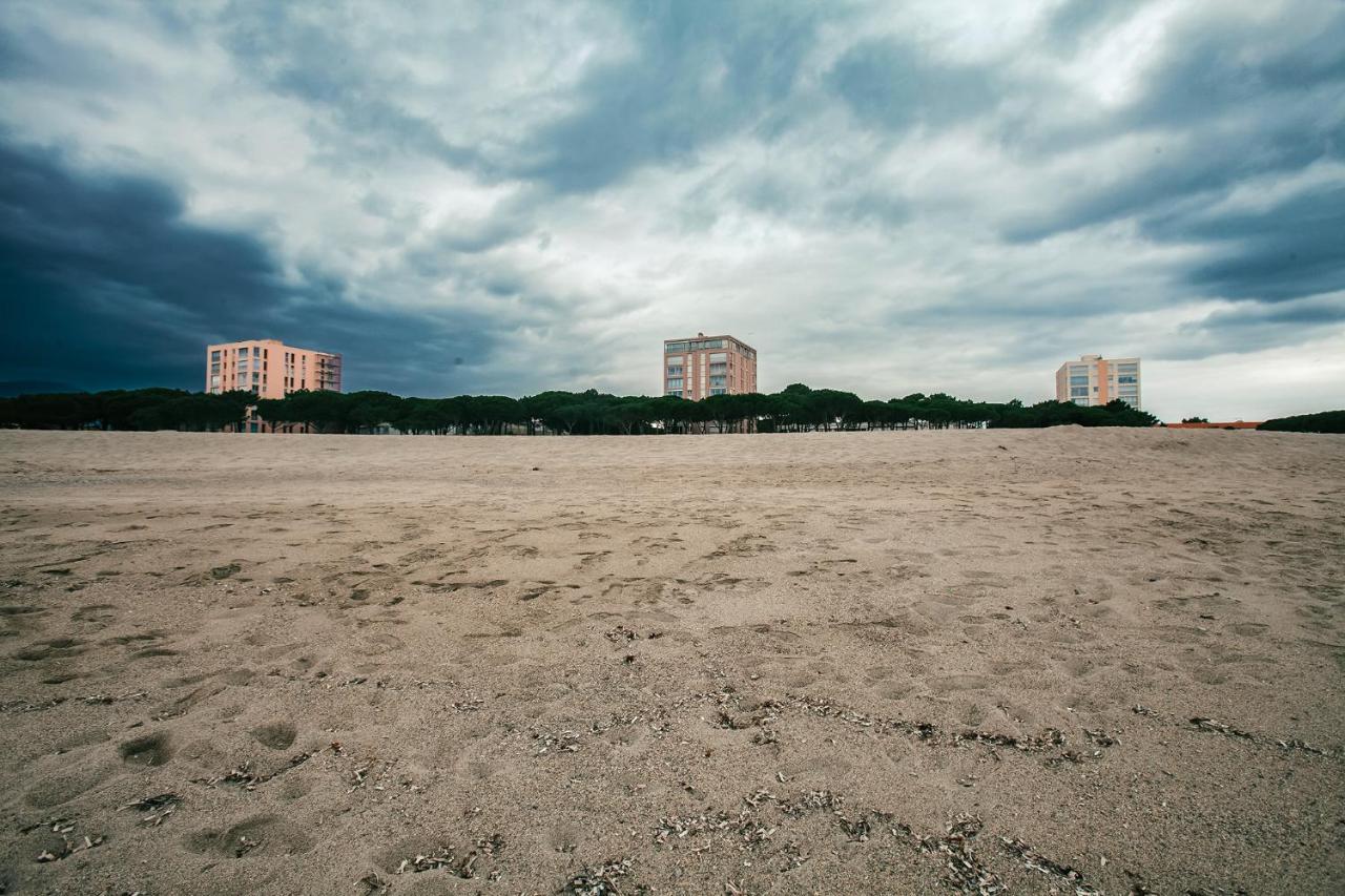 Studio Les Pieds Dans L'Eau Argeles Sur Mer Eksteriør bilde