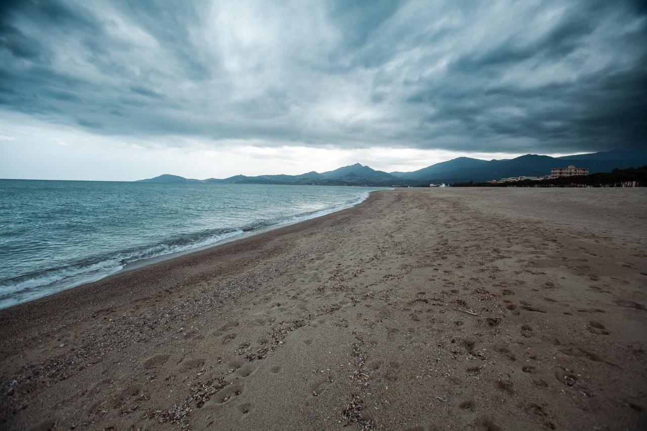 Studio Les Pieds Dans L'Eau Argeles Sur Mer Eksteriør bilde