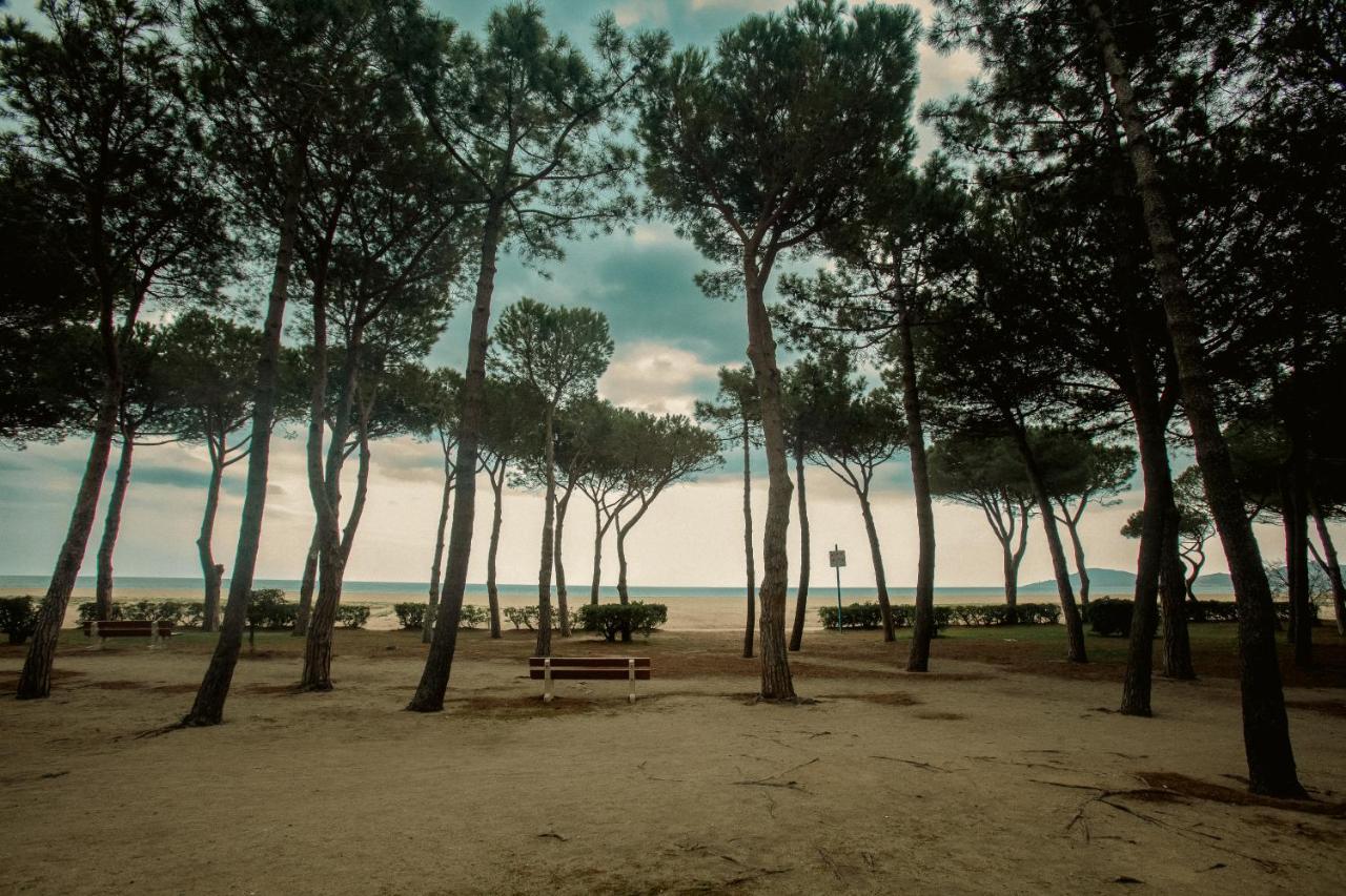 Studio Les Pieds Dans L'Eau Argeles Sur Mer Eksteriør bilde